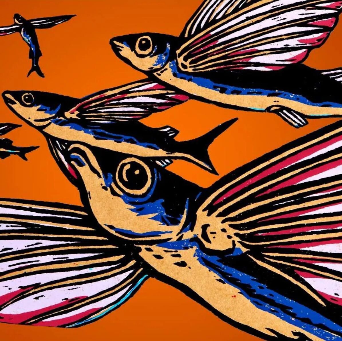 Пятнистый Стрижехвост рыба. Летающая рыба. Рыба птица. Рыба с крыльями.