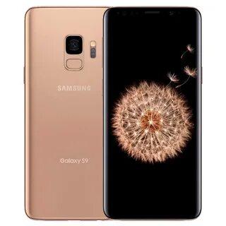 If s 9 or t 9