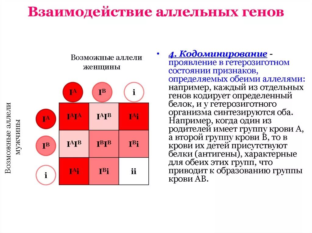 Генотипа промежуточного признака. Кодоминирование наследование групп крови. Наследование групп крови у человека кодоминирование. Тип взаимодействия генов в наследовании групп крови. Схема наследования групп крови и резус фактора.