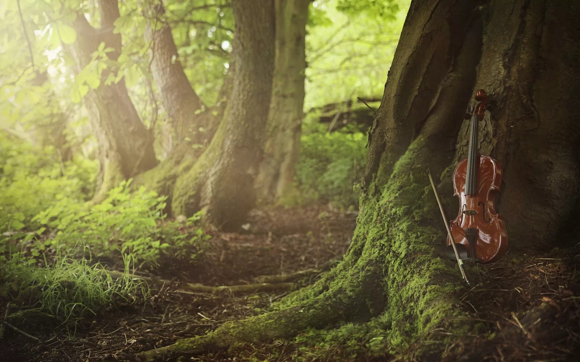 Лесная музыка слушать. Скрипка на природе. Виолончель на природе. Музыкальный пейзаж. Музыкальные инструменты в лесу.