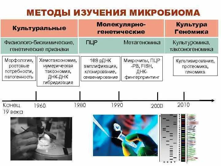 Современные методы исследования тест. Методы изучения микробиома организма человека. Метод исследования. Методы изучения микробиома организма человека микробиология. Генетическое исследование микробиома.