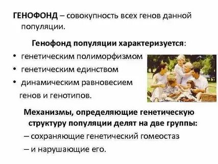 По плану идеальный генофонд