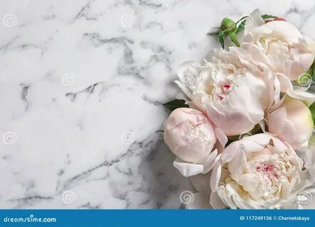 Цветы пиона на снегу fb2
