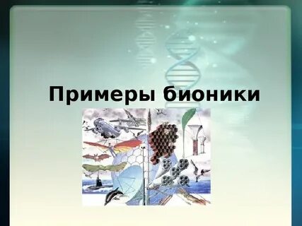 Бионика примеры