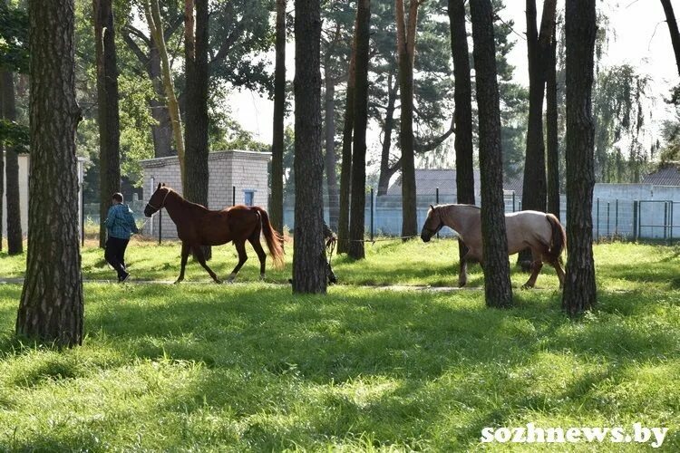 Слоу хорс сериал. Чингачгук сериал 2022. Slow horses сериал 2022. Кристин скотт томас в медленных лошадях. Олдман сериал 2022.