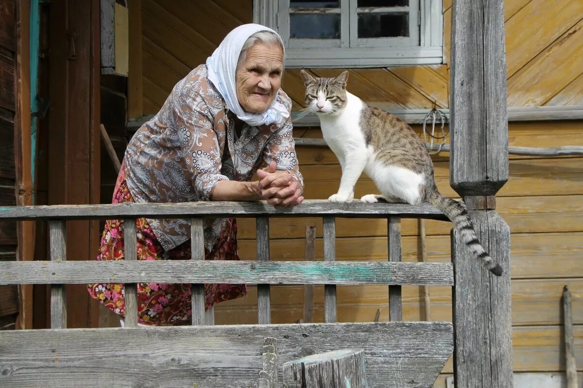 Деревенская кошка. Деревенская бабушка. Кошка в деревне. Старушка в деревне.