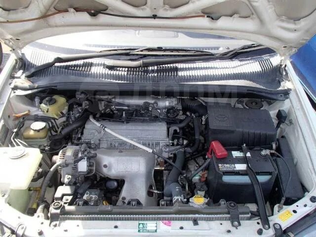 Toyota Ipsum (10) 2.0 бензиновый 1996 3S-GTE 4WD 260 hp на DRIVE2