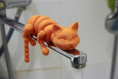 Friend maker cat