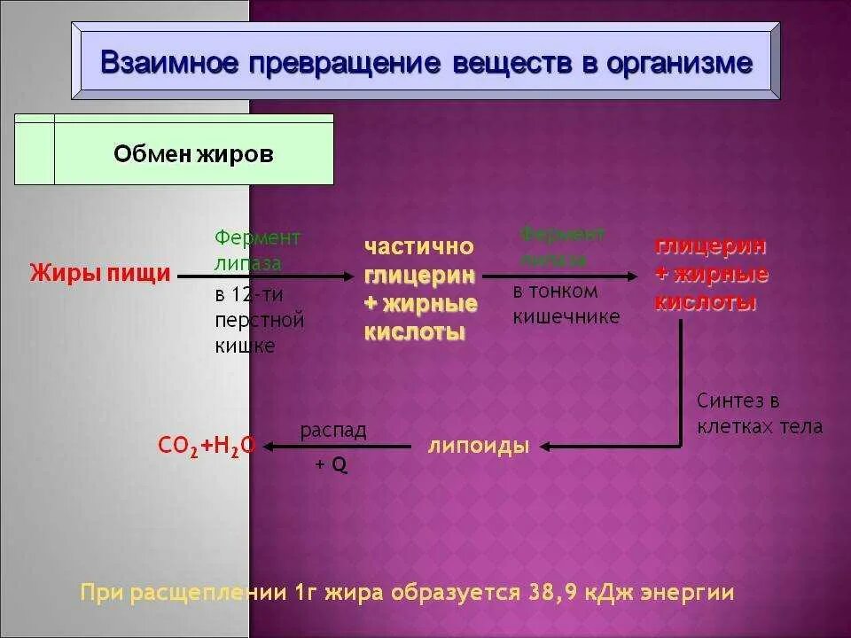 Продукты распада клеток. Схема превращения углеводов в жиры. Преобразование жиров в организме. Схема преобразования Жирова. Превращениетуглеводов.