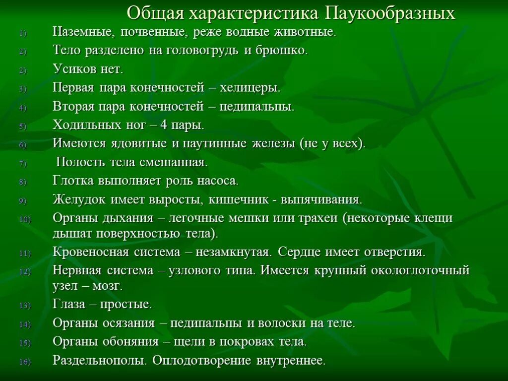 Для класса паукообразные характерно. Признаки класса паукообразные. Общая характеристика паукообразных. Характеристика паукообразных. Характеристика паука обазных.