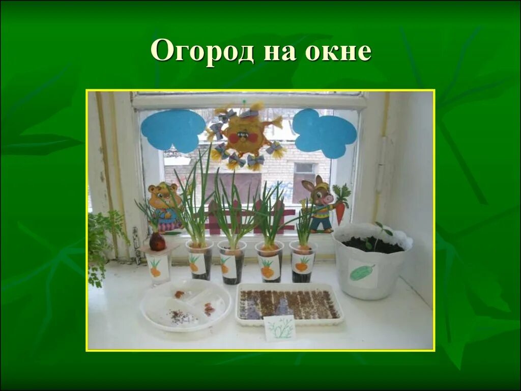 Тема недели комнатные растения огород на окне. Название огорода на подоконнике. Консультация для родителей зеленый мир на окне. Консультация для родителей на тему комнатные растения. Презентация огород на окошке.