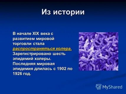 Возбудители чумы и холеры