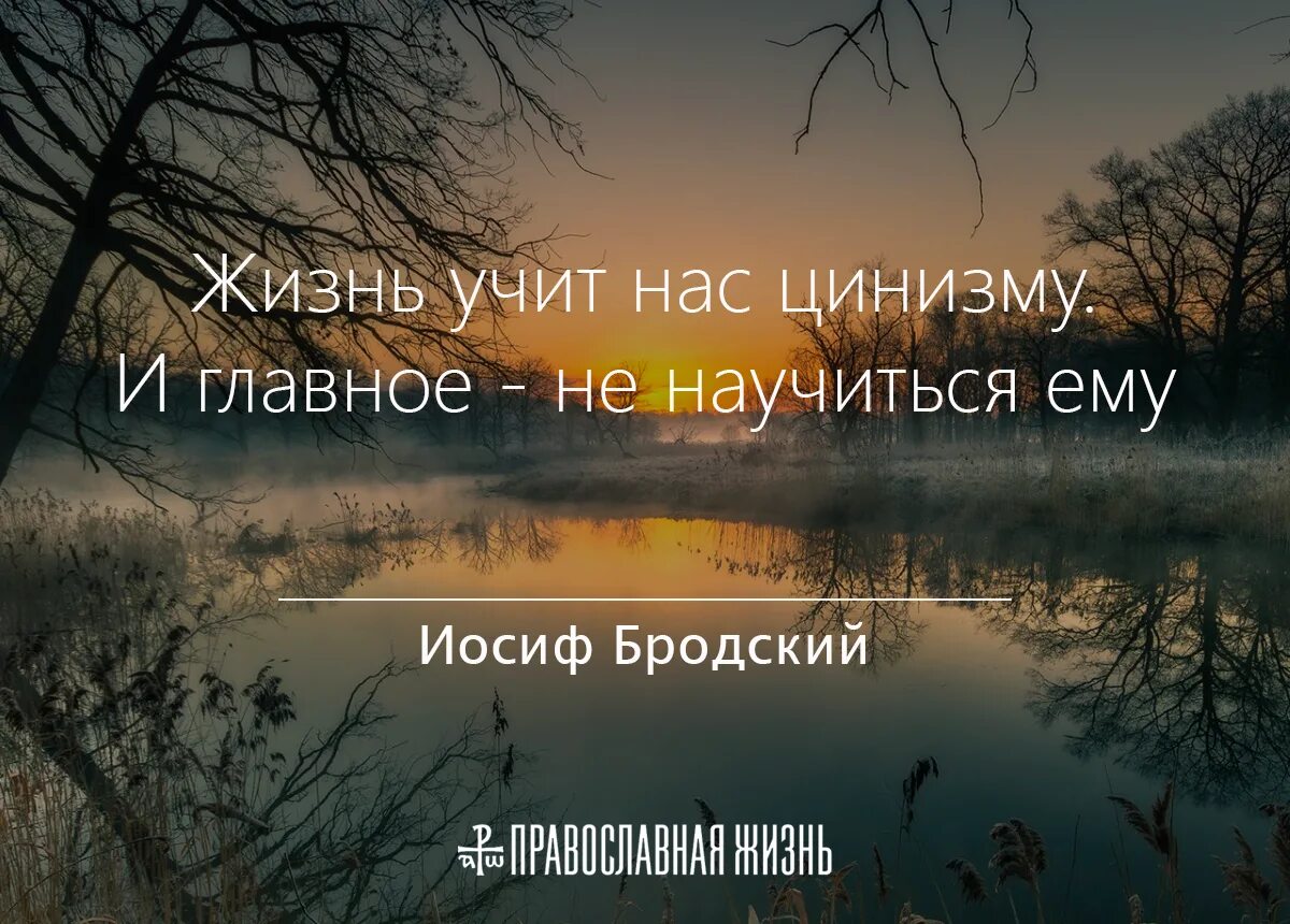 Что значит жизнь учит. Жизнь учит нас цитаты. Жизнь учит нас цинизму. Жизнь всему научит. Фраза жизнь нас учит.