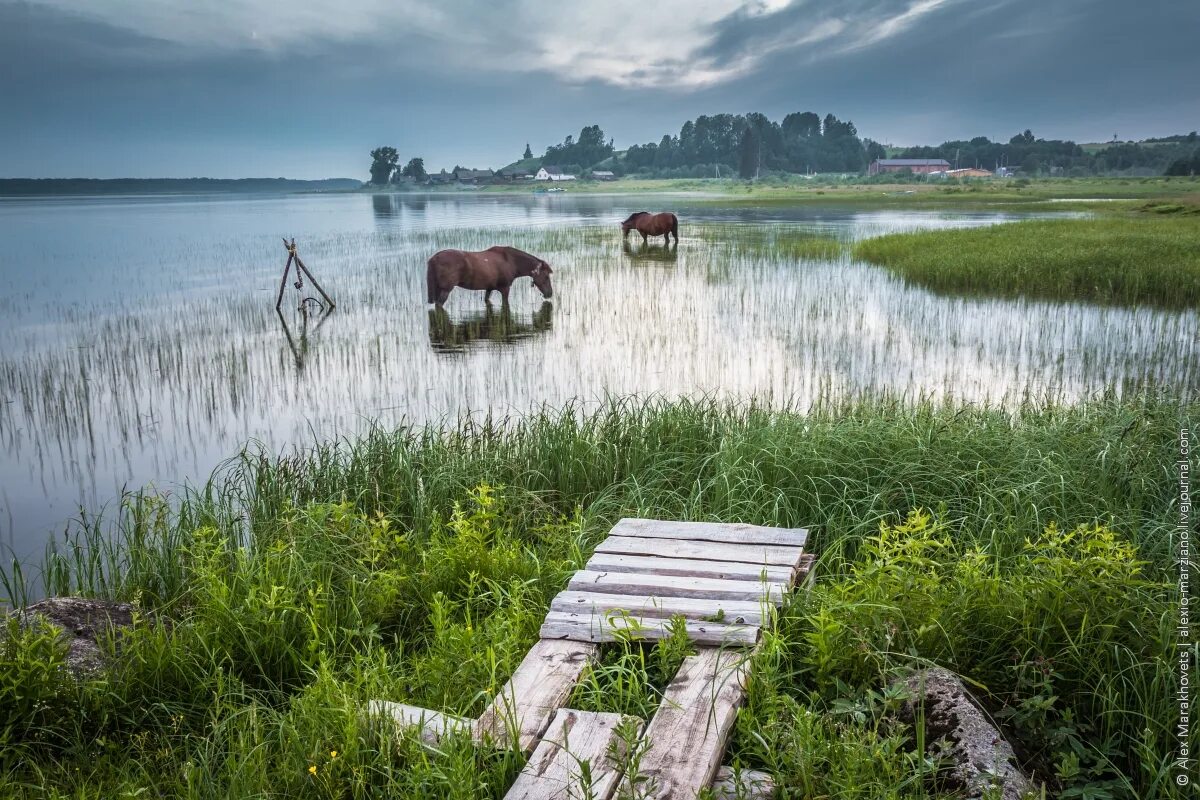 Русские на природе часть. Природа деревня. Деревня красота. Деревенские мотивы. Красивые Деревенские пейзажи.