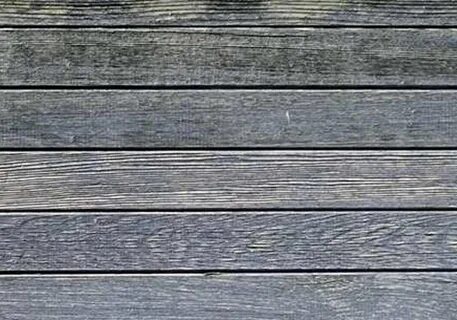 Gray wood