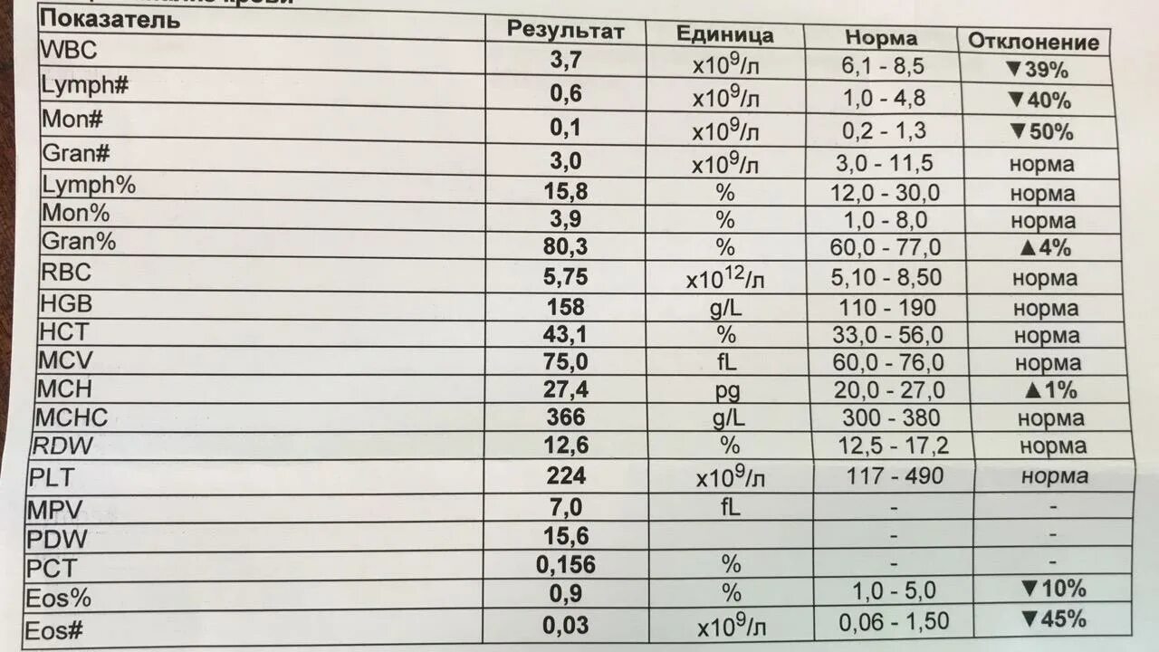 Кровь мснс понижена