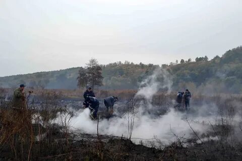 Горящие торфяники в москве