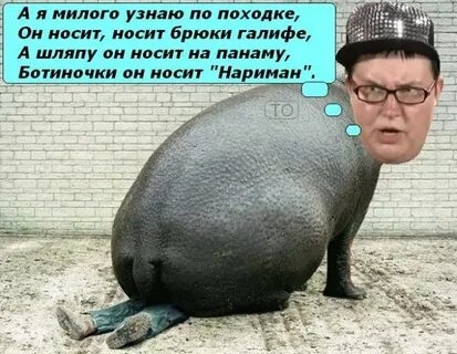 Ботиночки он носит нариман песня