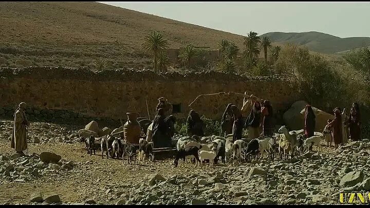 Qo rqinchli kinolar uzbek tilida. Викинги 2014 эд скрейн. Махлук овчилари. Криминальный город фильм 2017 uzbek tilida. Серый человек uzbek tilida.