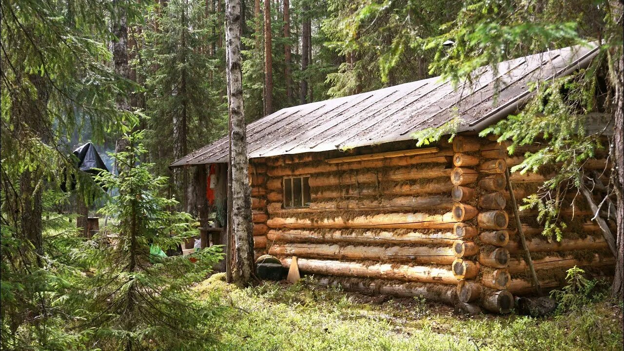 Тайга таежная жизнь. Охотничья изба в тайге. Охотничьи зимовья и избушки в тайге. Лесная избушка жизнь в тайге. Лесная избушка в тайге.