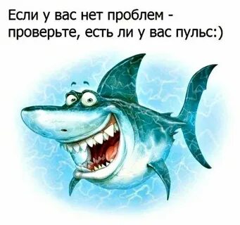 Акула добро