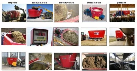 Способы подготовки кормов