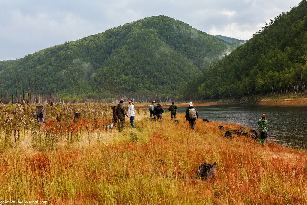 река зея амурская область. река амур амурская область. природа приамурья. приамурье дальнего востока.