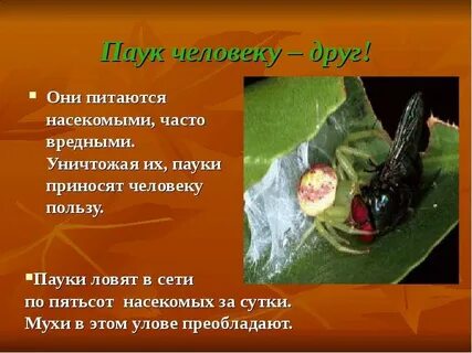 Какую пользу насекомые приносят растениям 3 класс
