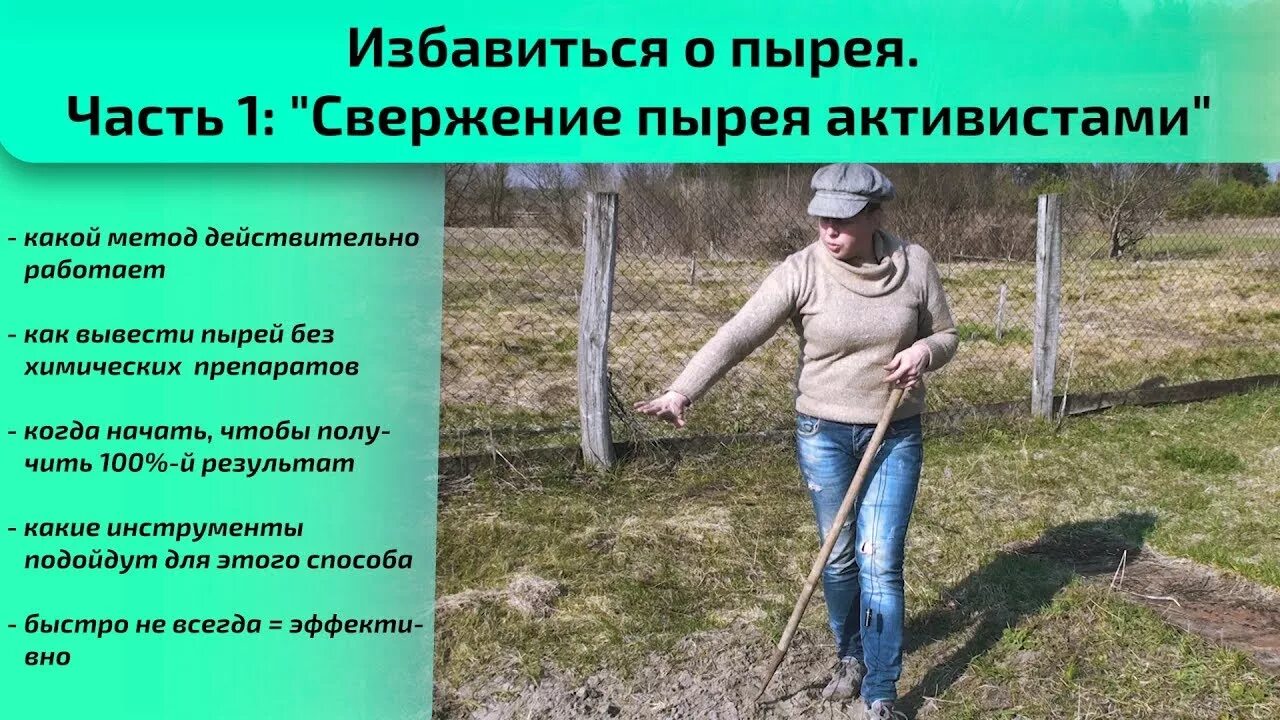 Как навсегда избавиться от пырея. Средство от пырея на огороде. избавления огорода от пырея. как избавиться от пырея. пырей на огороде.