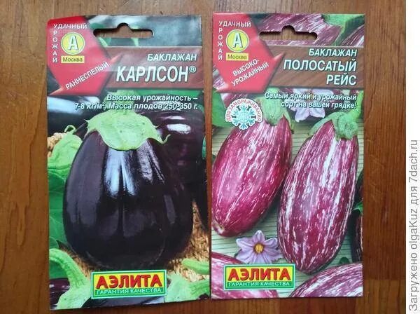 Семена баклажан КАРЛСОН + ДРАКОША АЭЛИТА-АГРОФИРМА 164142185 купить за 102 ₽ в и