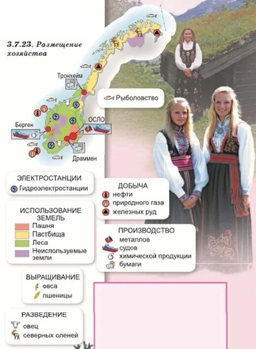 Размещение населения норвегии. Размещение хозяйства норвегии. сфера хозяйства норвегии. хозяйственная деятельность населения норвегии. сфера услуг в норвегии.