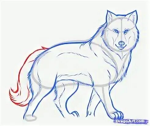 Как нарисовать волка карандашом легко и красиво