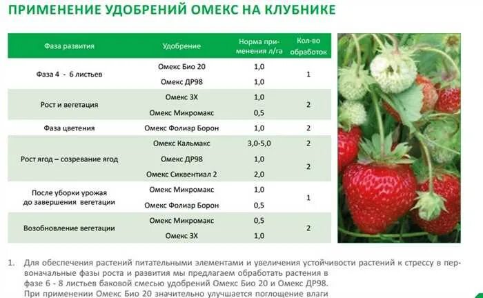 При какой температуре можно малину