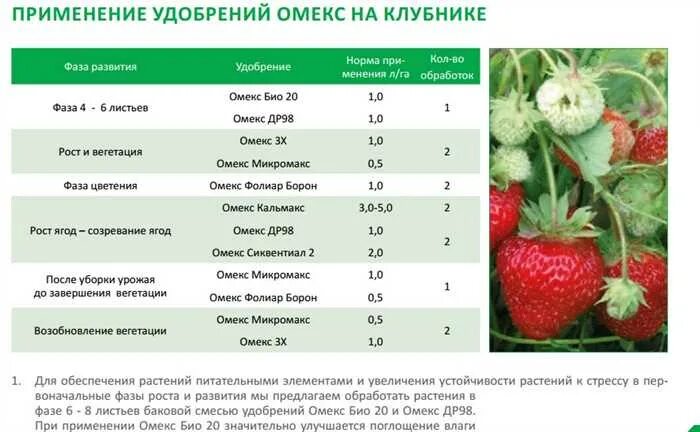 При какой температуре можно малину. Схема подкормок земляники минеральными удобрениями. Таблица внесения удобрений для клубники. Схема удобрения клубники минеральными удобрениями. Схема удобрение земляники.