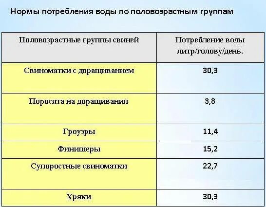 Вода для свиней норма. Норма потребления воды в сутки. Нормы водопотребления в сутки. Суточная норма потребления воды. Нормативный расход воды