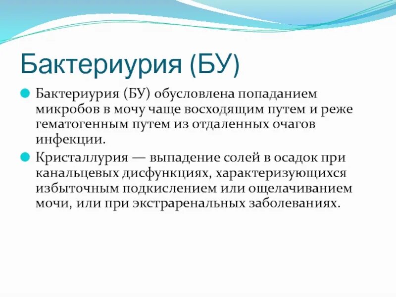 Бактериурия бессимптомная 10. Бактериурия бессимптомная 10
