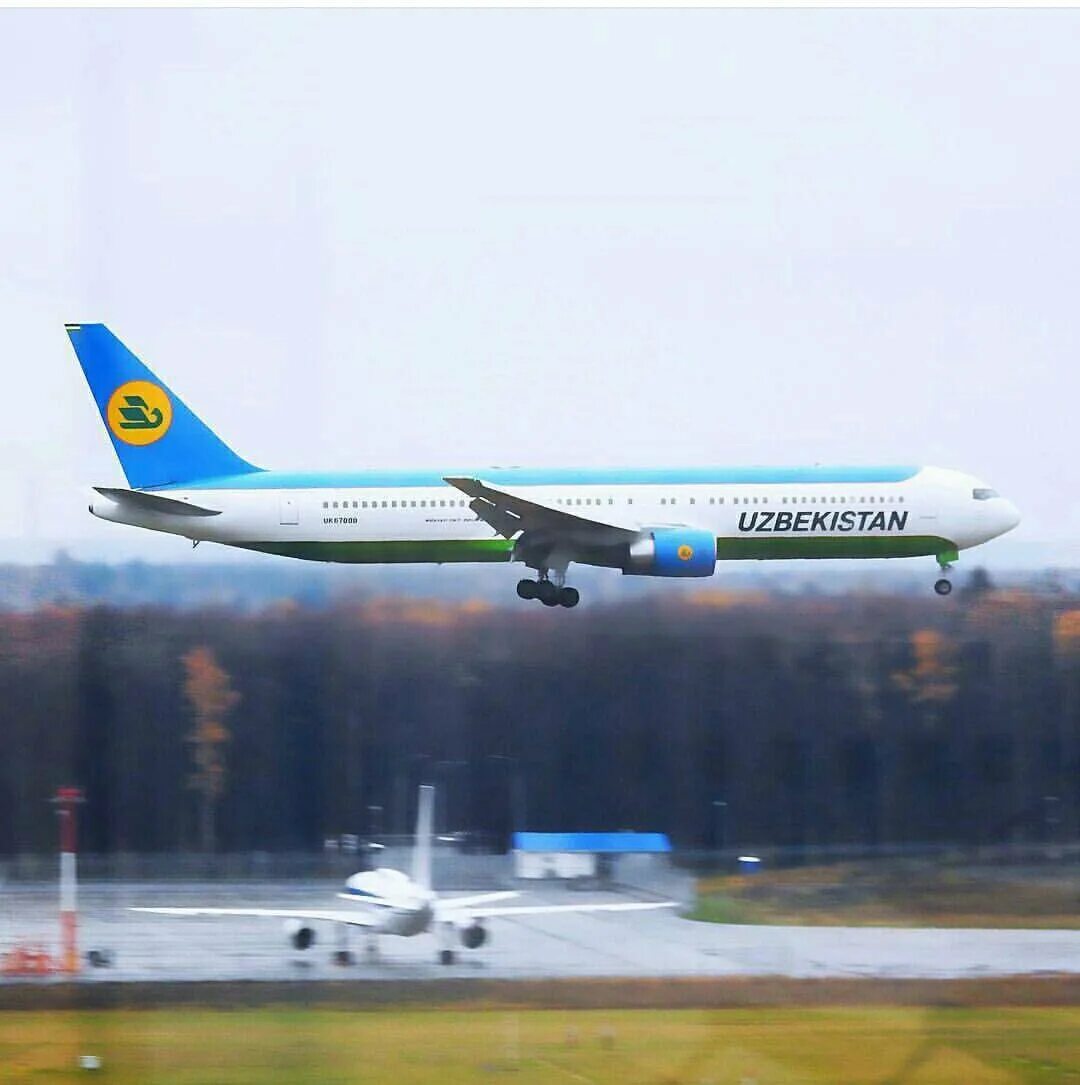 Аэропорт Домодедово Uzbekistan Airways. Самолет Узбекистан хаво йуллари. Аэропорт Домодедово Узбекистон хаво йуллари. Самолёт Uzbekistan Airways а330. Авиабилеты внуково ургенч