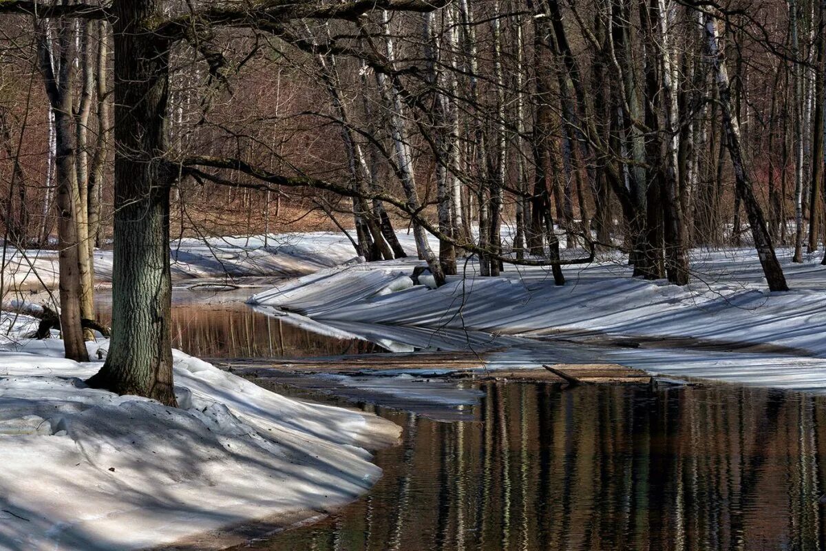 Талые воды весной. Весенние воды Тютчев. Весенний пейзаж. Весенний пейзаж картинки.