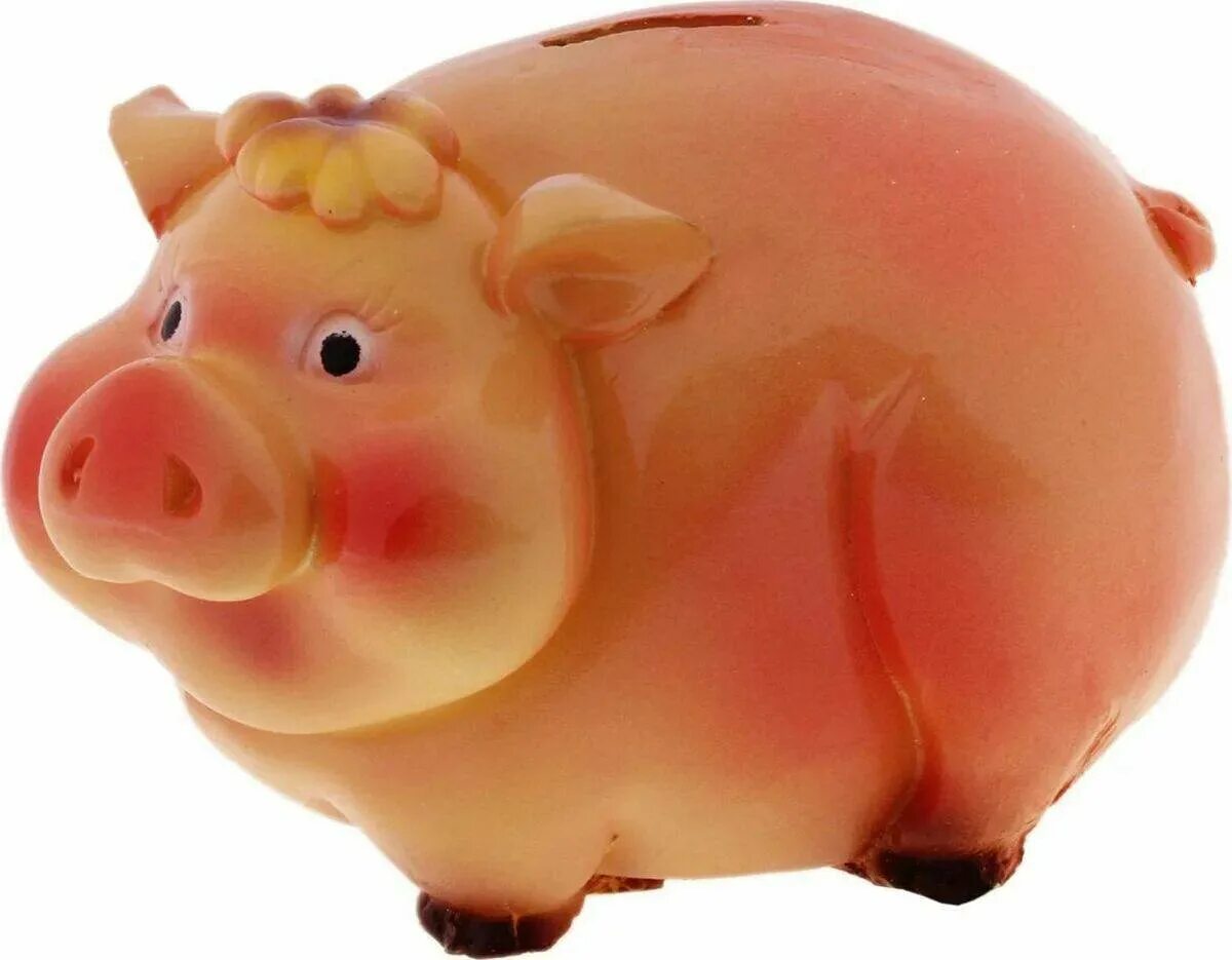 Piggy bank свиньи. Большая копилка свинья сбоку. Копилка Свинка вид сбоку. Копилка Свинка большая. Копилка «поросенок».