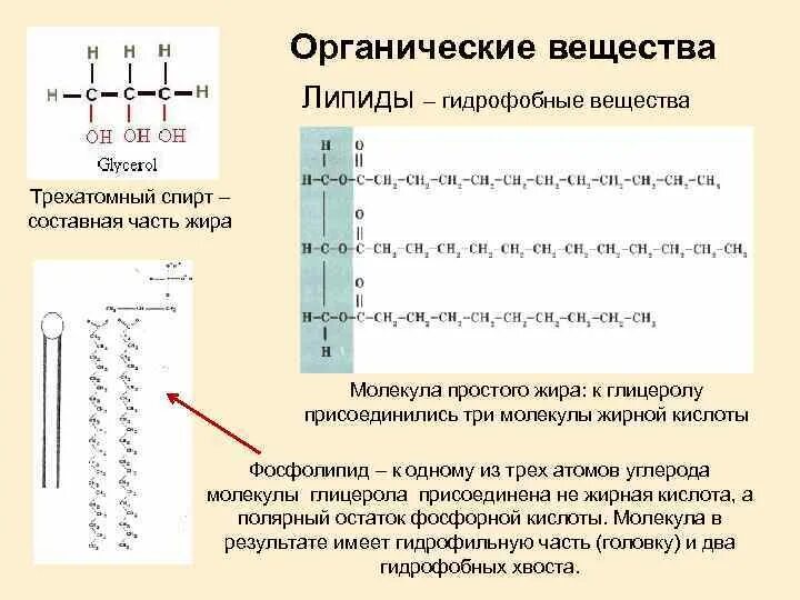 Гидрофобные вещества. Гидрофобные органические вещества. Гидрофобные молекулы. Гидрофобные органические соединения. Средства гидрофильные при каких работах