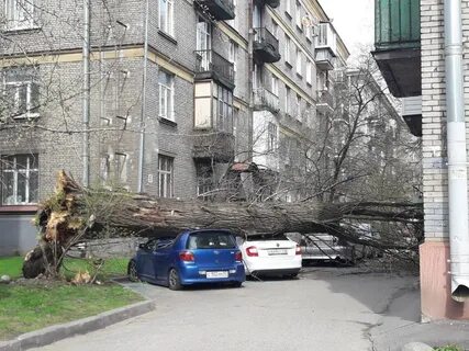 Падение питера