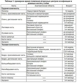 Таблица костного возраста ребенка