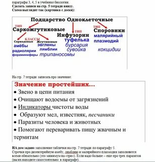 В данном параграфе
