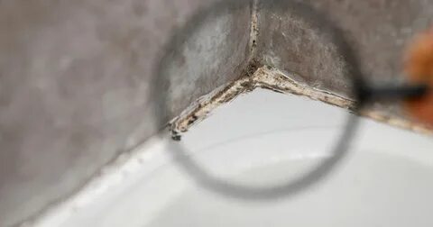 Как Убрать Черную Плесень в Ванной на Силиконовом Герметике и Швах