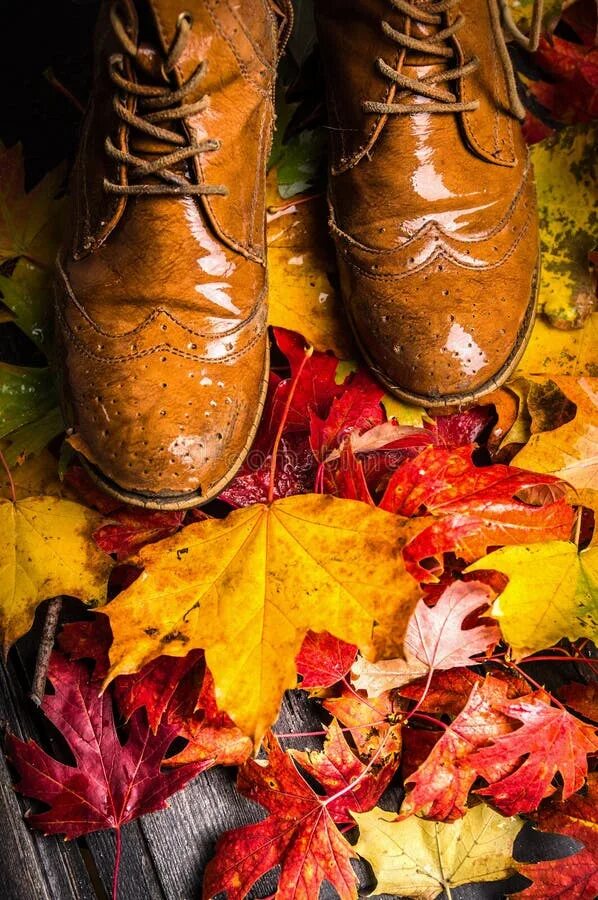 Pin on s һ o e s Doc martens, Autumn aesthetic, Style