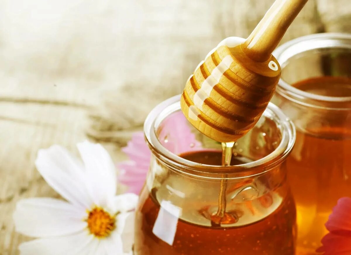 Мед картинки. Медовая Трапеза мед гречишный. Осветление волос медом. Гречишный мед цвет. Гречишный мед и цветы.