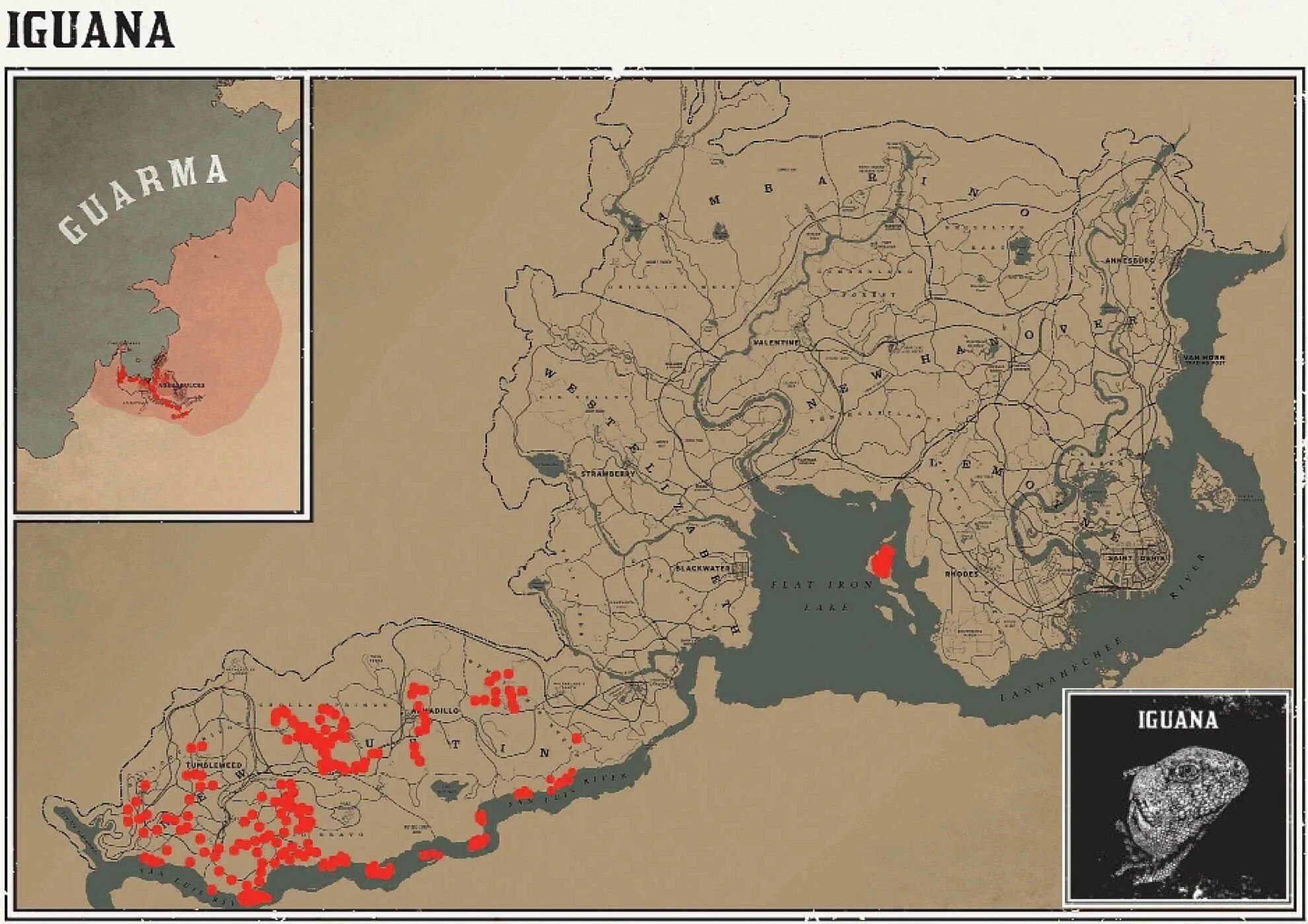 Rdr 2 игуана. Рдр 2 игуана на карте. Где найти игуану в рдр 2. Где найти игуану в рдр 2. Где найти игуану в рдр 2.