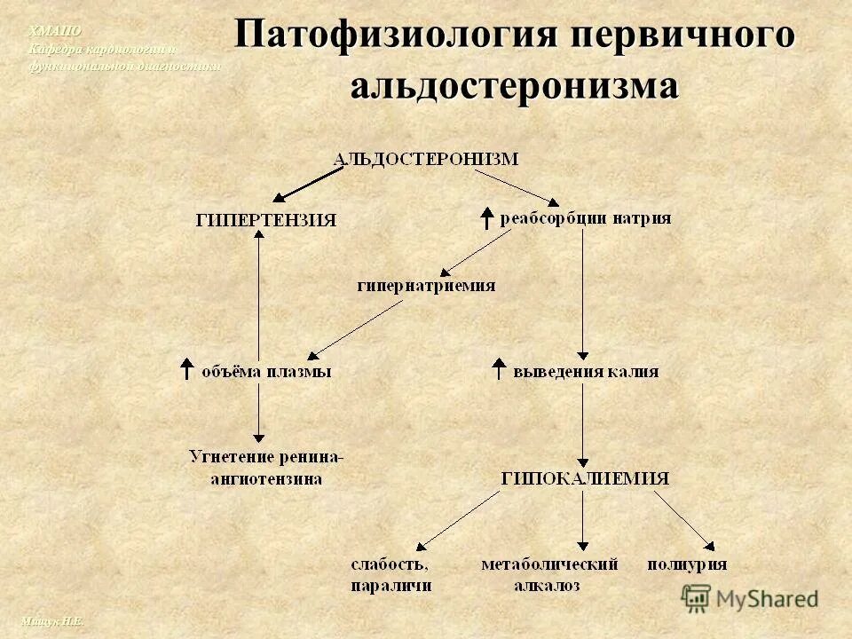 Синдром Конна патогенез. Первичный гиперальдостеронизм патогенез. Первичный альдостеронизм патогенез. Первичный и вторичный альдостеронизм патофизиология.