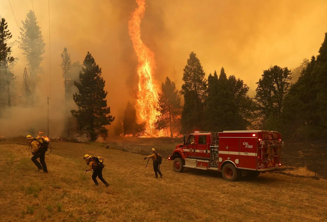 Near the fire. Лесные пожары в Калифорнии 2020. США Лесной пожар в Калифорнии. Лемной повр.