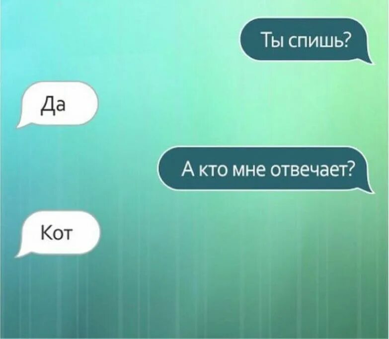 Интересные переписки. Смешные смс. Приколы переписки. Смешные заумные фразы. Скрины смешных переписок.